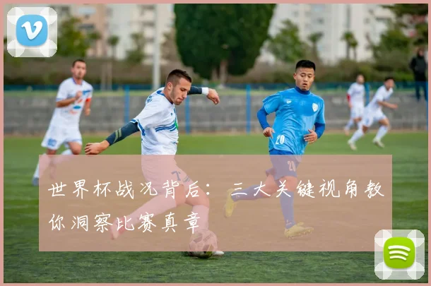 世界杯战况背后：三大关键视角教你洞察比赛真章